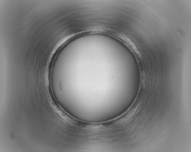 X0000115530939200911201717