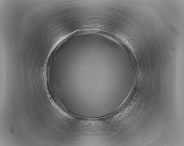 X0000115530941200911201717