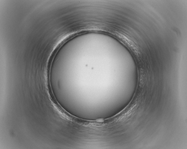 X0000115530942200911201717