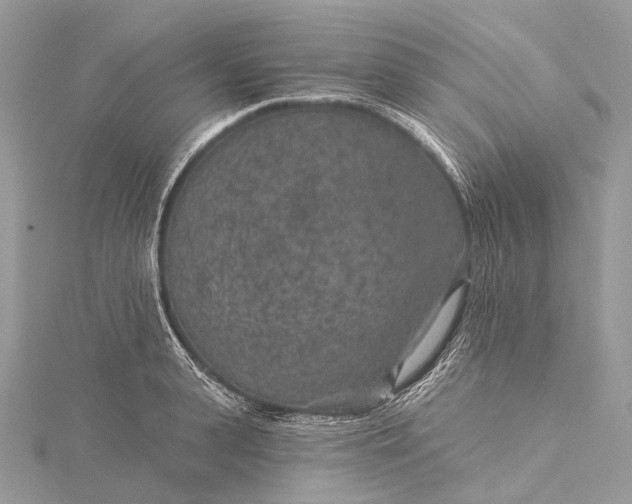 X0000115530943200911201717