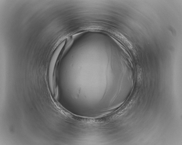 X0000115530945200911201717