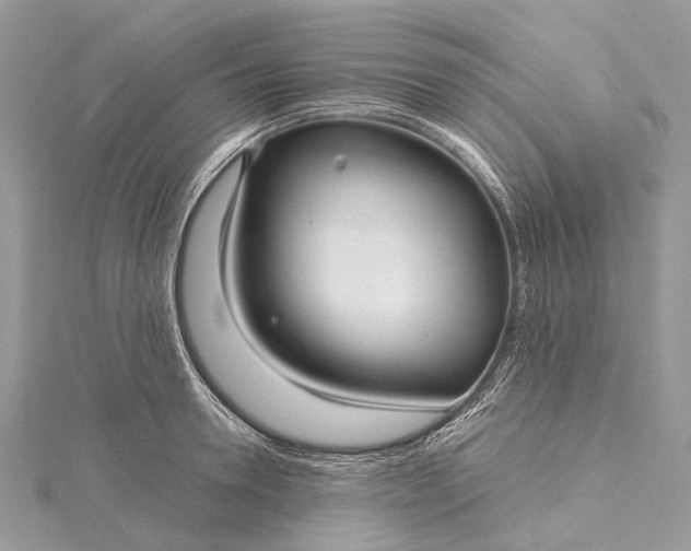 X0000115530946200911201717