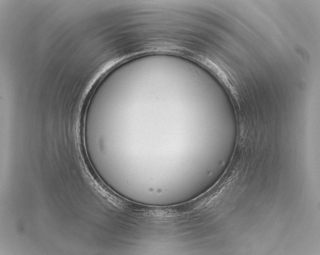 X0000115530947200911201717