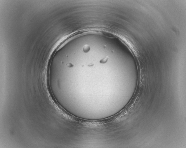 X0000115530949200911201717