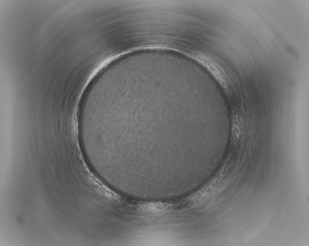 X0000115530950200911201717