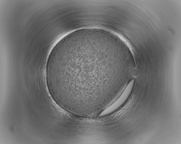 X0000115530951200911201717