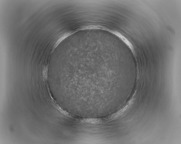 X0000115530953200911201717