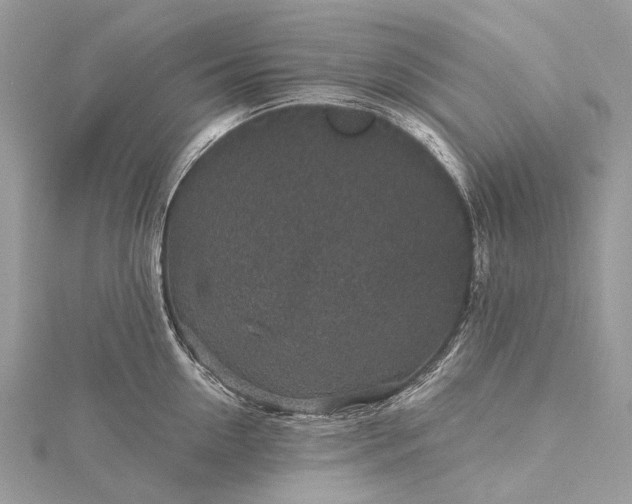 X0000115530954200911201717