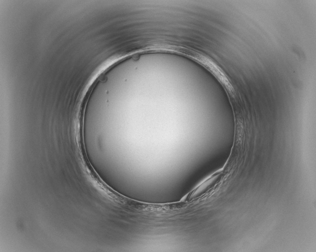 X0000115530955200911201717