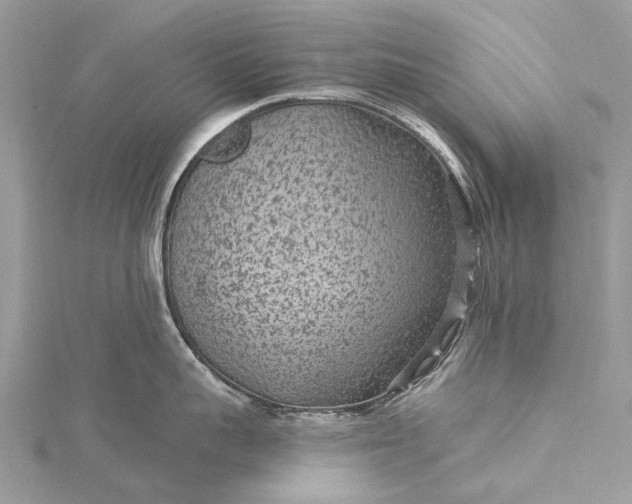 X0000115530959200911201717