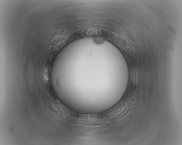 X0000115530962200911201716