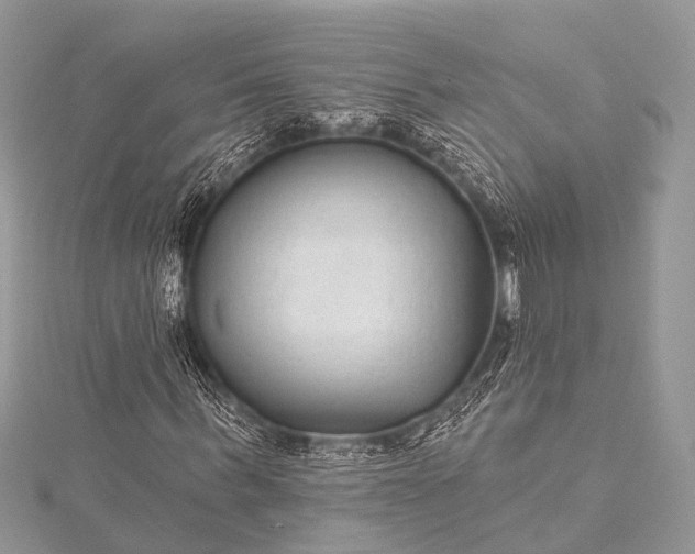 X0000115530963200911201716