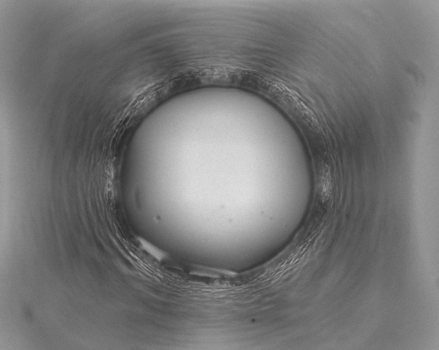 X0000115530964200911201716