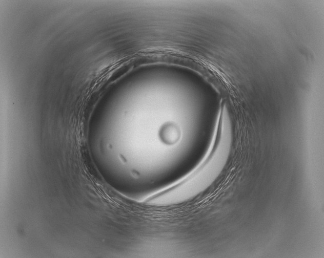 X0000115530965200911201716