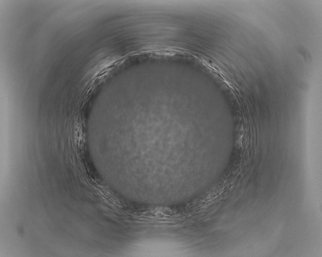 X0000115530966200911201716