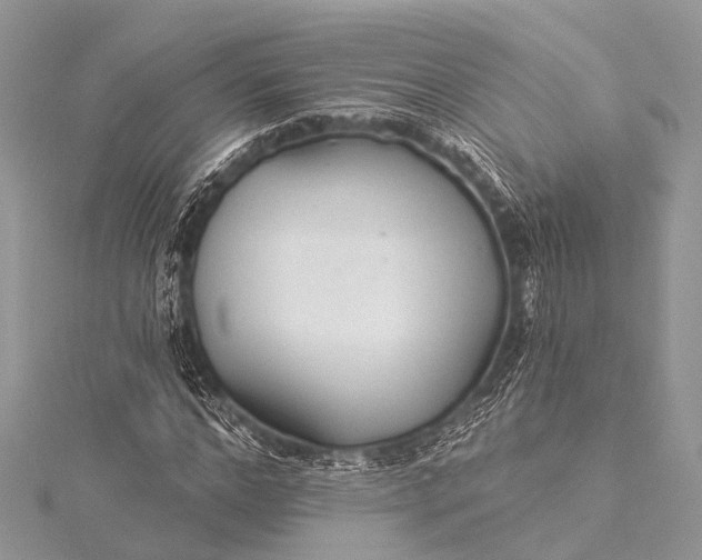 X0000115530968200911201716