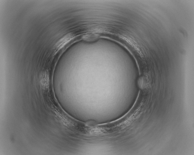 X0000115530969200911201716