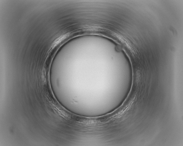 X0000115530970200911201716