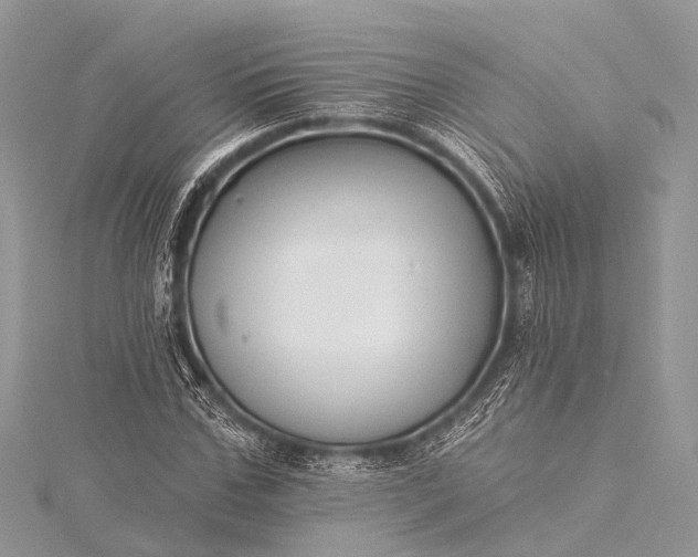 X0000115530971200911201716