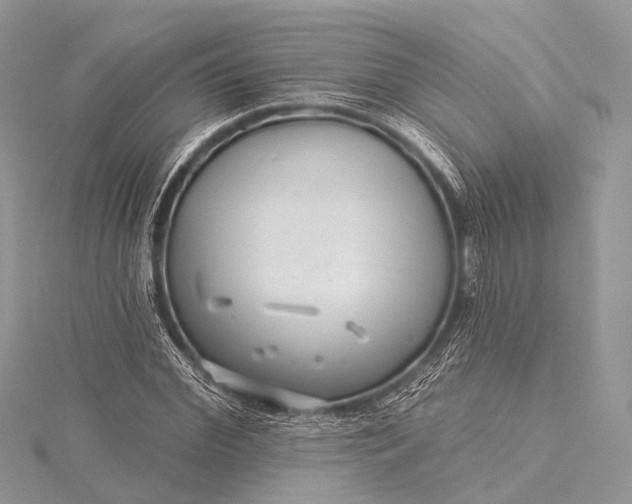 X0000115530972200911201716