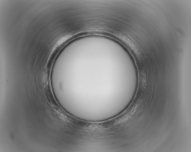 X0000115530974200911201716