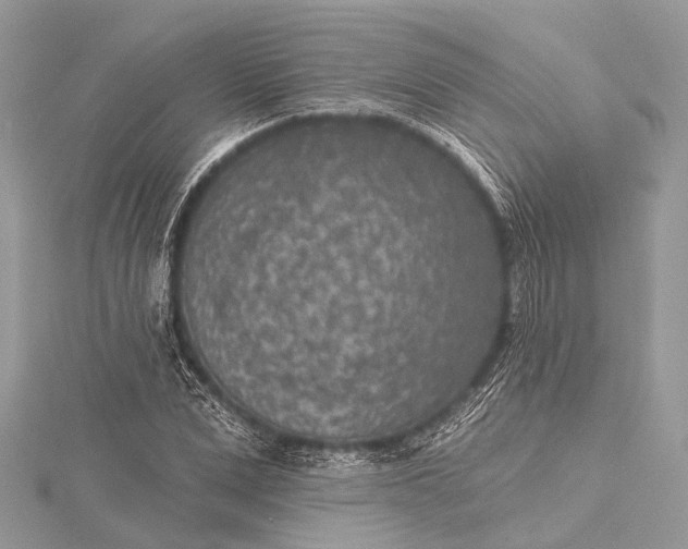 X0000115530975200911201716