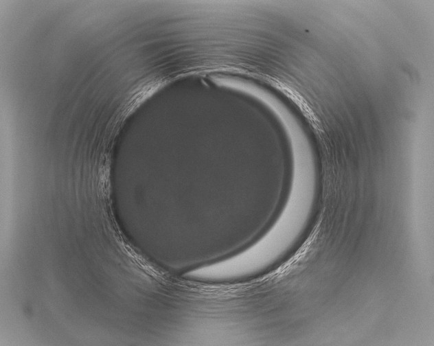 X0000115530977200911201716