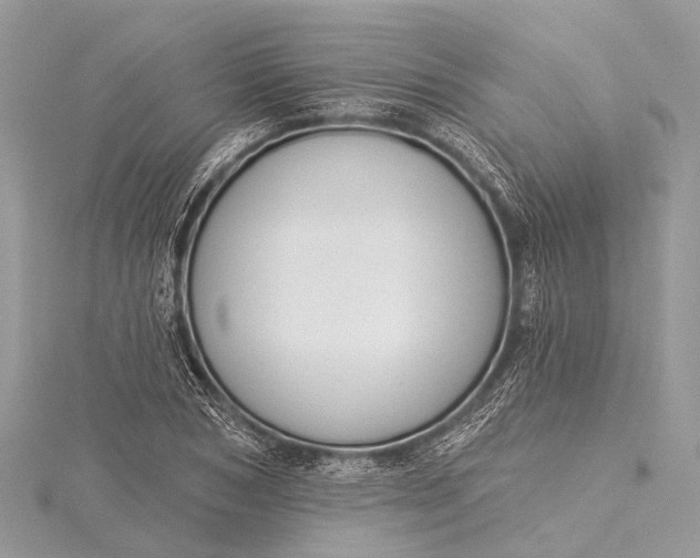 X0000115530978200911201716