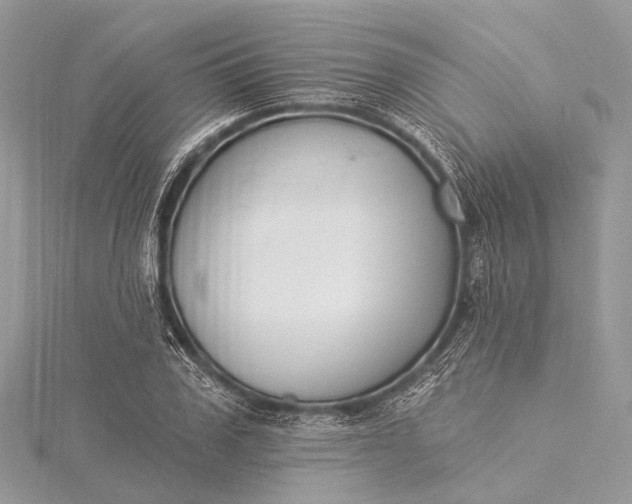 X0000115530979200911201716