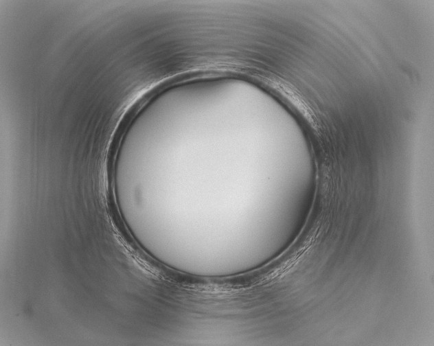 X0000115530980200911201716