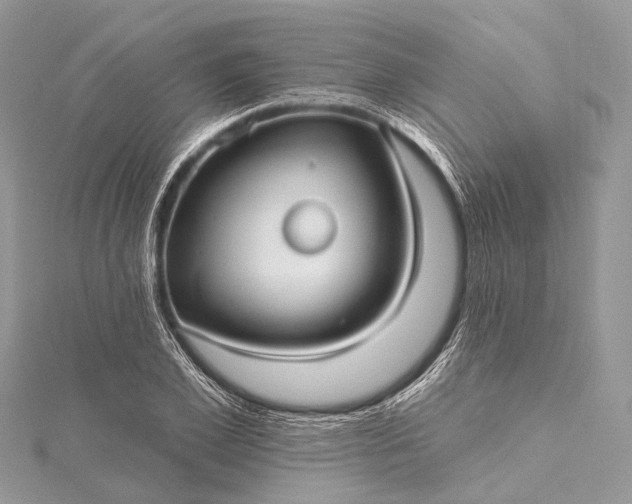 X0000115530981200911201716