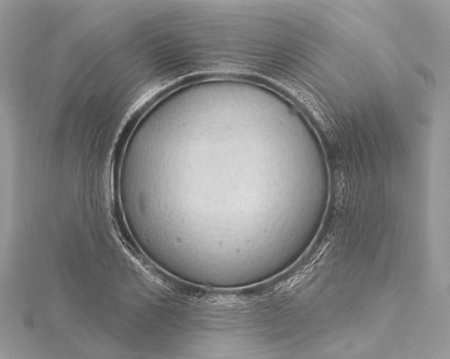 X0000115530982200911201716