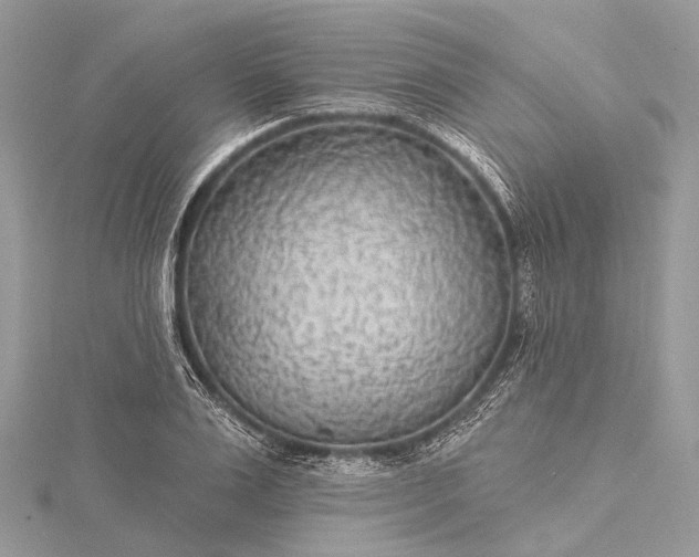 X0000115530983200911201716