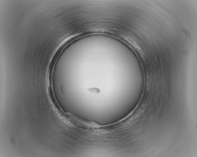 X0000115530984200911201716