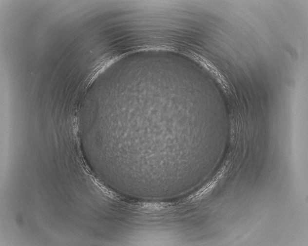 X0000115530985200911201716