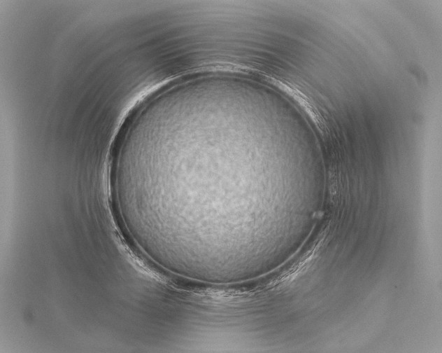 X0000115530987200911201716