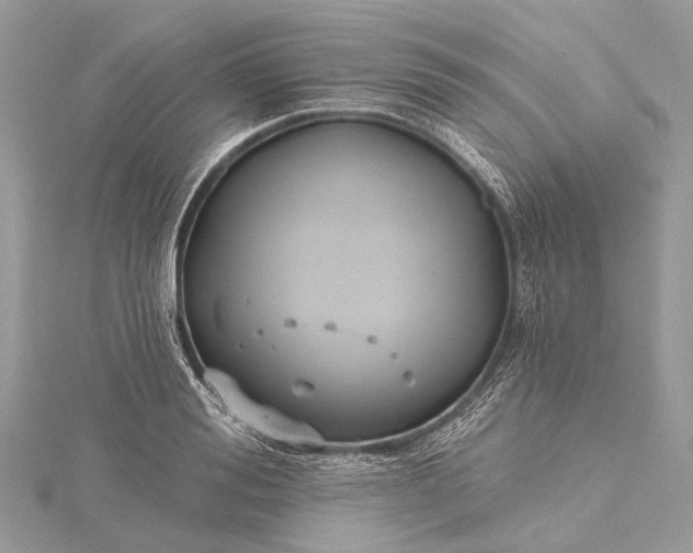 X0000115530988200911201716