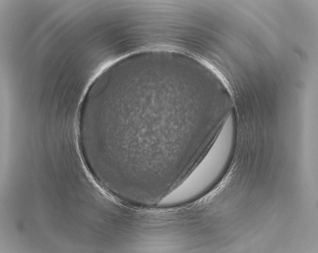 X0000115530989200911201716