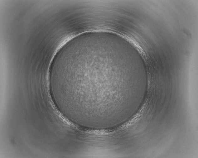 X0000115530990200911201716