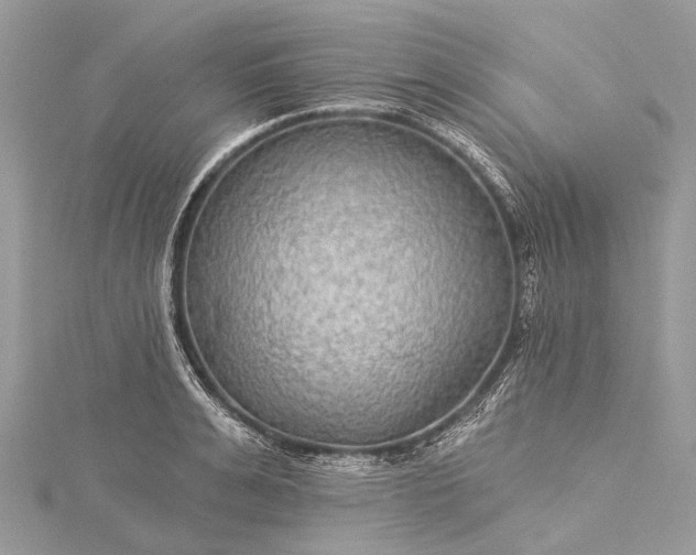 X0000115530991200911201716