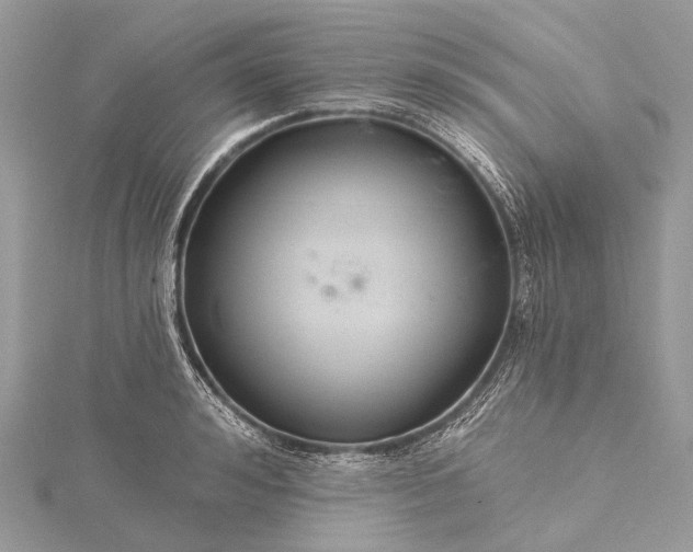 X0000115530992200911201716