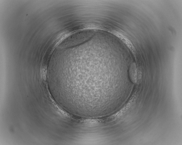 X0000115530993200911201716