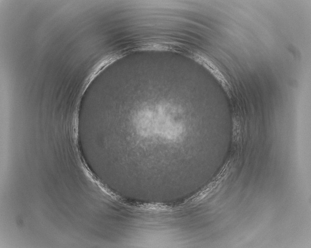 X0000115530994200911201716