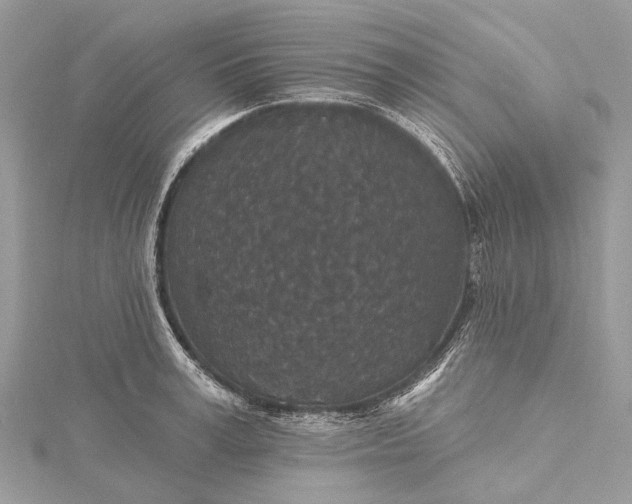 X0000115530995200911201716