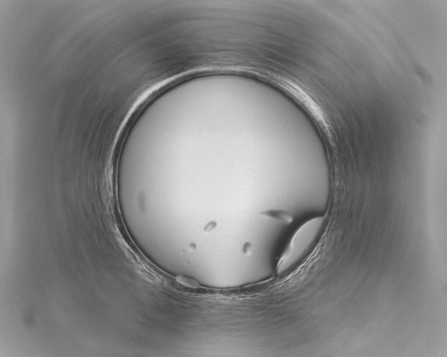 X0000115530996200911201716