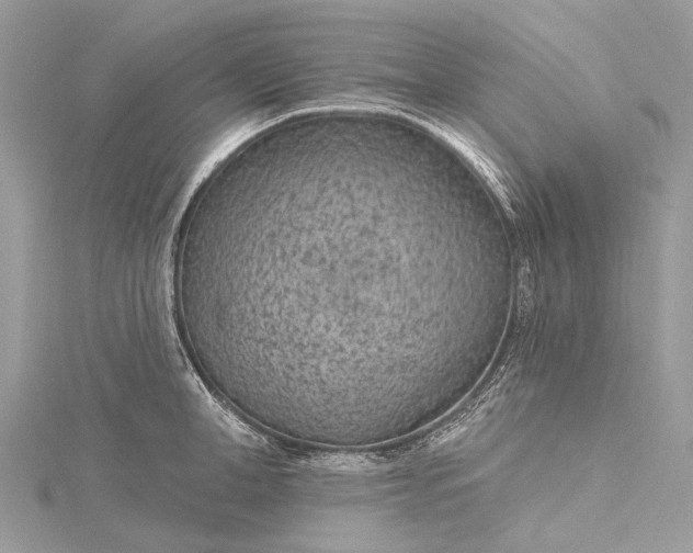 X0000115530998200911201716