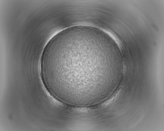 X0000115530999200911201716