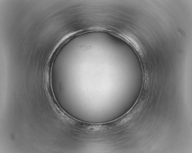 X0000115531000200911201716