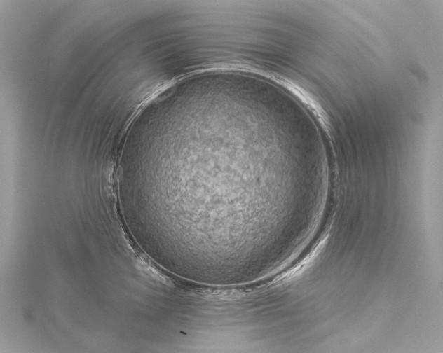 X0000115531001200911201716