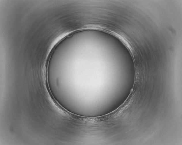 X0000115531003200911201716